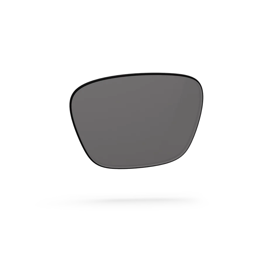 Business Lenses - Gray