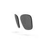 Business Lenses - Gray