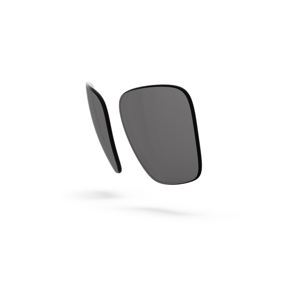 Pleasure Lenses - Gray