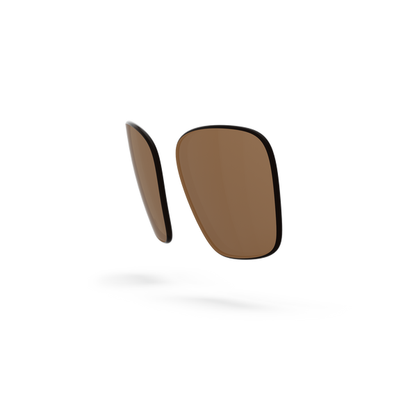 Business Lenses - Sepia