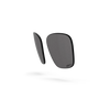 Business Lenses - Gray Polarized