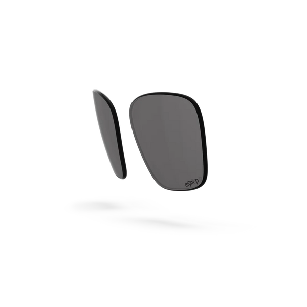 Business Lenses - Gray Polarized