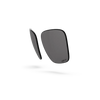 Pleasure Lenses - Gray Polarized