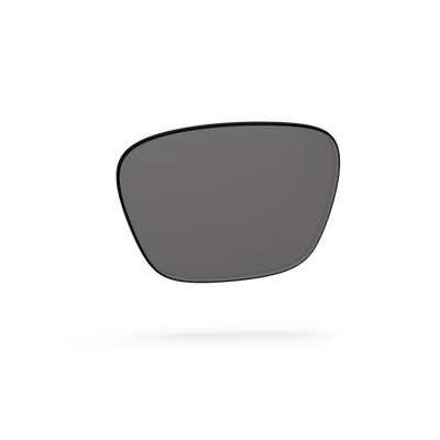 Business Lenses - Gray