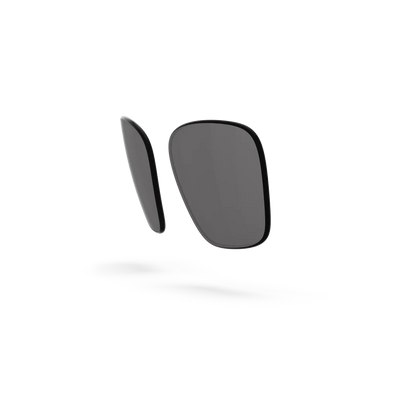 Business Lenses - Gray
