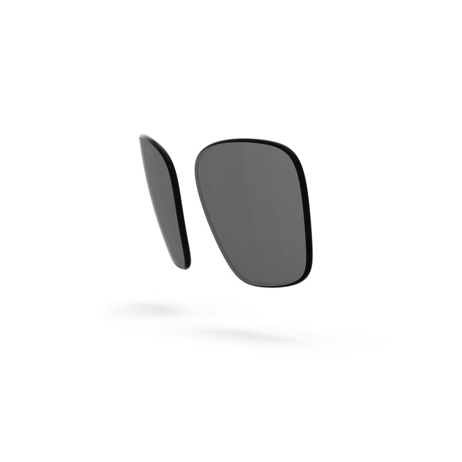 Business Lenses - Gray