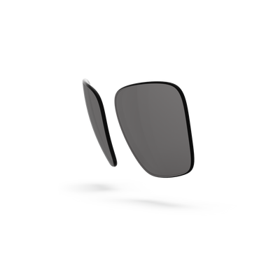 Pleasure Lenses - Gray