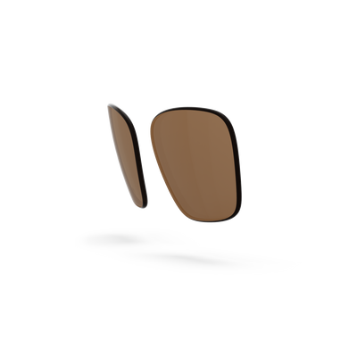 Business Lenses - Sepia