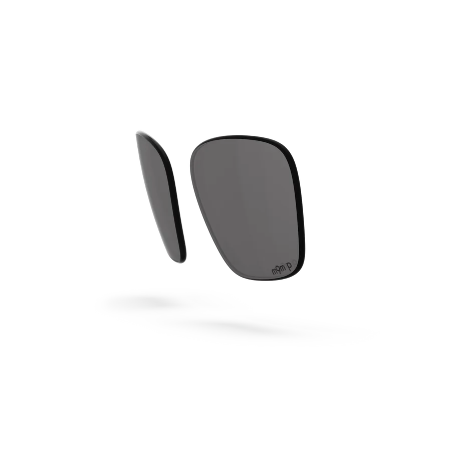Business Lenses - Gray Polarized