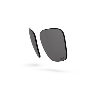 Pleasure Lenses - Gray Polarized