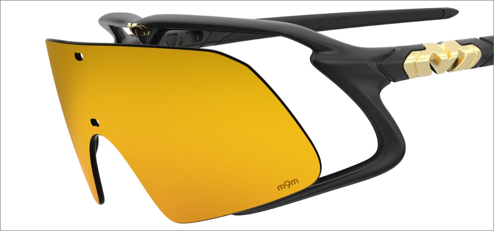 Modular frame & lens system for customized shield options